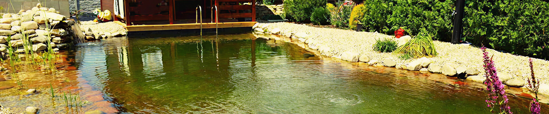 Koupací jezírko s molem a rostlinami v zahradě