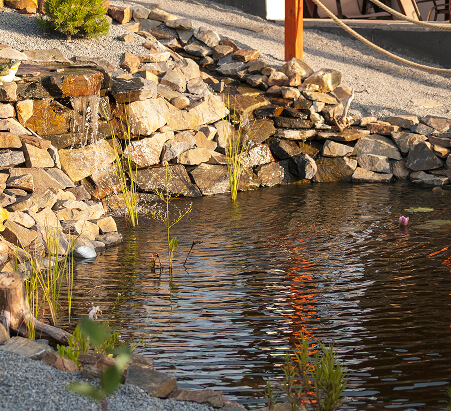 Zahradní jezírko s kamenným břehem a lekníny