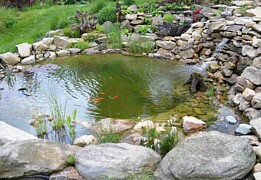 31 - Zahradní jezírka