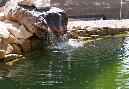 5 - Zahradní jezírka