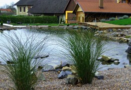 12 - Zahradní jezírka
