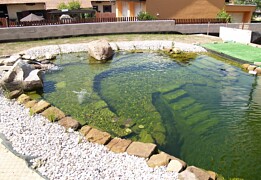 17 - Zahradní jezírka